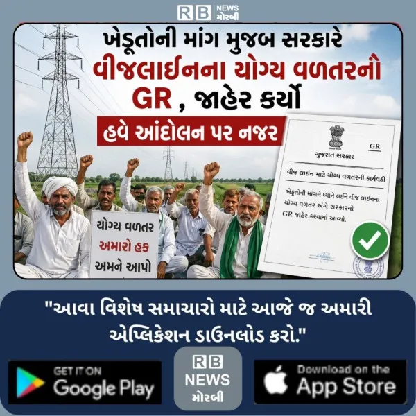 ખેડૂતોની માંગ મુજબ સરકારે વીજલાઈનના યોગ્ય વળતરનો GR , જાહ...