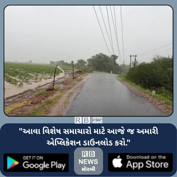 માળીયાના મીઠા ઉદ્યોગને ભારે વરસાદનું જોખમ, રણ વિસ્તારમાં ન જવા અગરિયાઓને સૂચના
