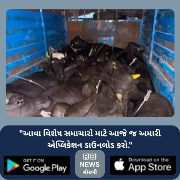 મોરબી નજીક વાહનમાં લઈ જવાતા 10 પશુઓ સાથે 2 ઝડપાયા
