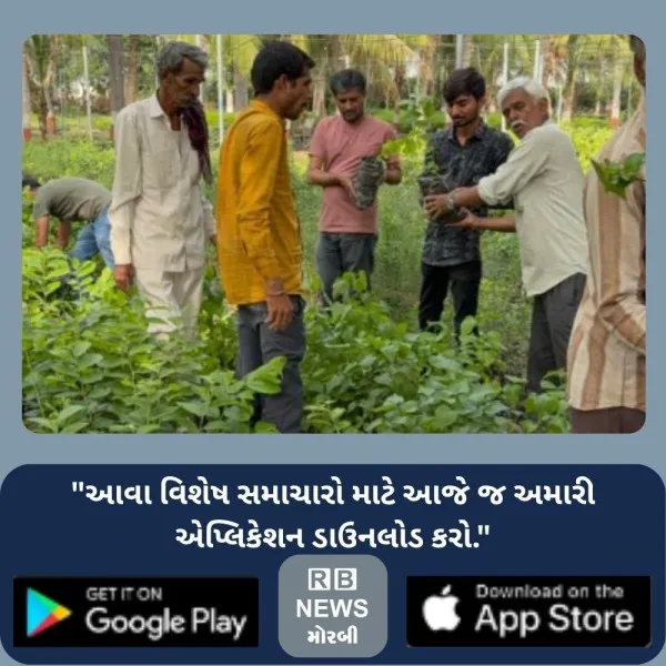 મોરબીમાં 4,000 થી વધુ રોપાનું  વિતરણ કરી હરિયાળી ક્રાંતિ કરવાનો સંકલ્પ
