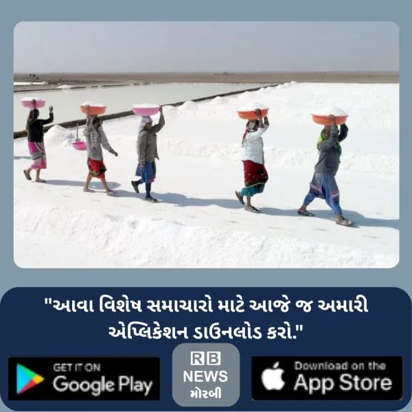 સોલ્ટ ટેકનોલોજીની શૈક્ષણિક સંસ્થાના અભાવે મીઠા ઉદ્યોગના વ...