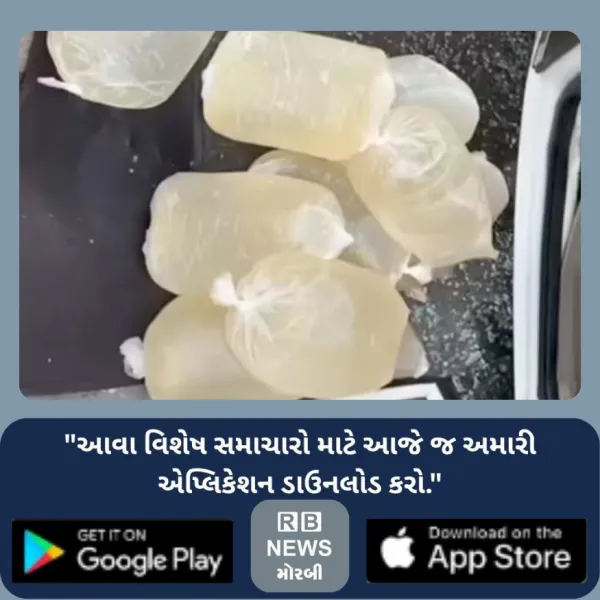 મોરબી નજીક કાર ગોથું મારી જતા કારમાંથી દારૂની પોટલીઓ રોડ ...