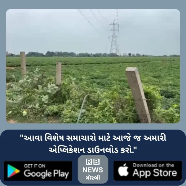 હળવદના સરંભડામાં હેવી લાઈનનો તાર તૂટ્યો, સદનસીબે મોટી દુર...
